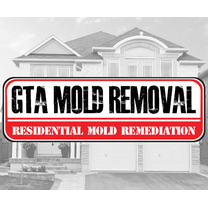 GTA Mold Removal Mississauga