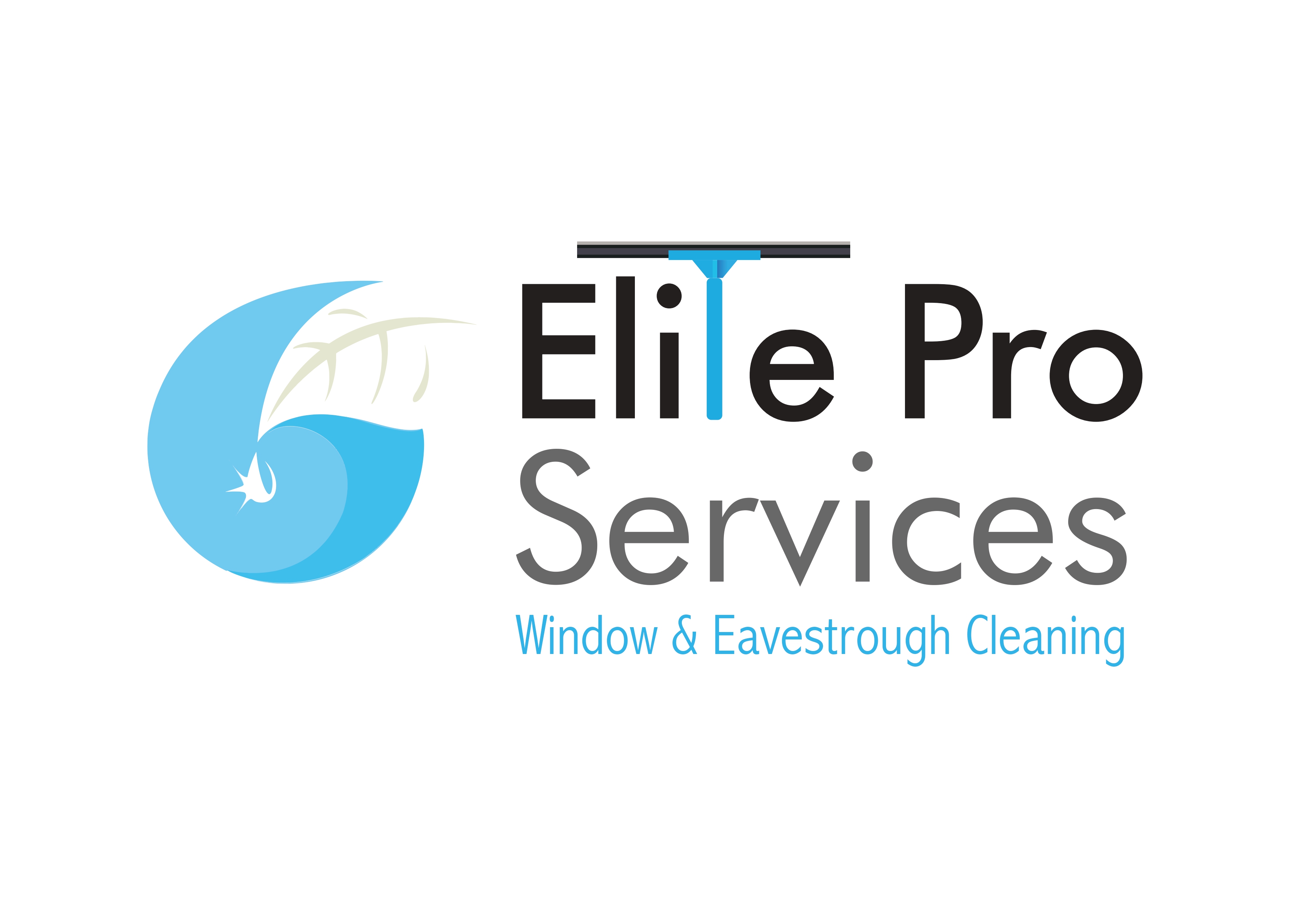 ELITE PRO SERVICES WINDOW CLEANING INC