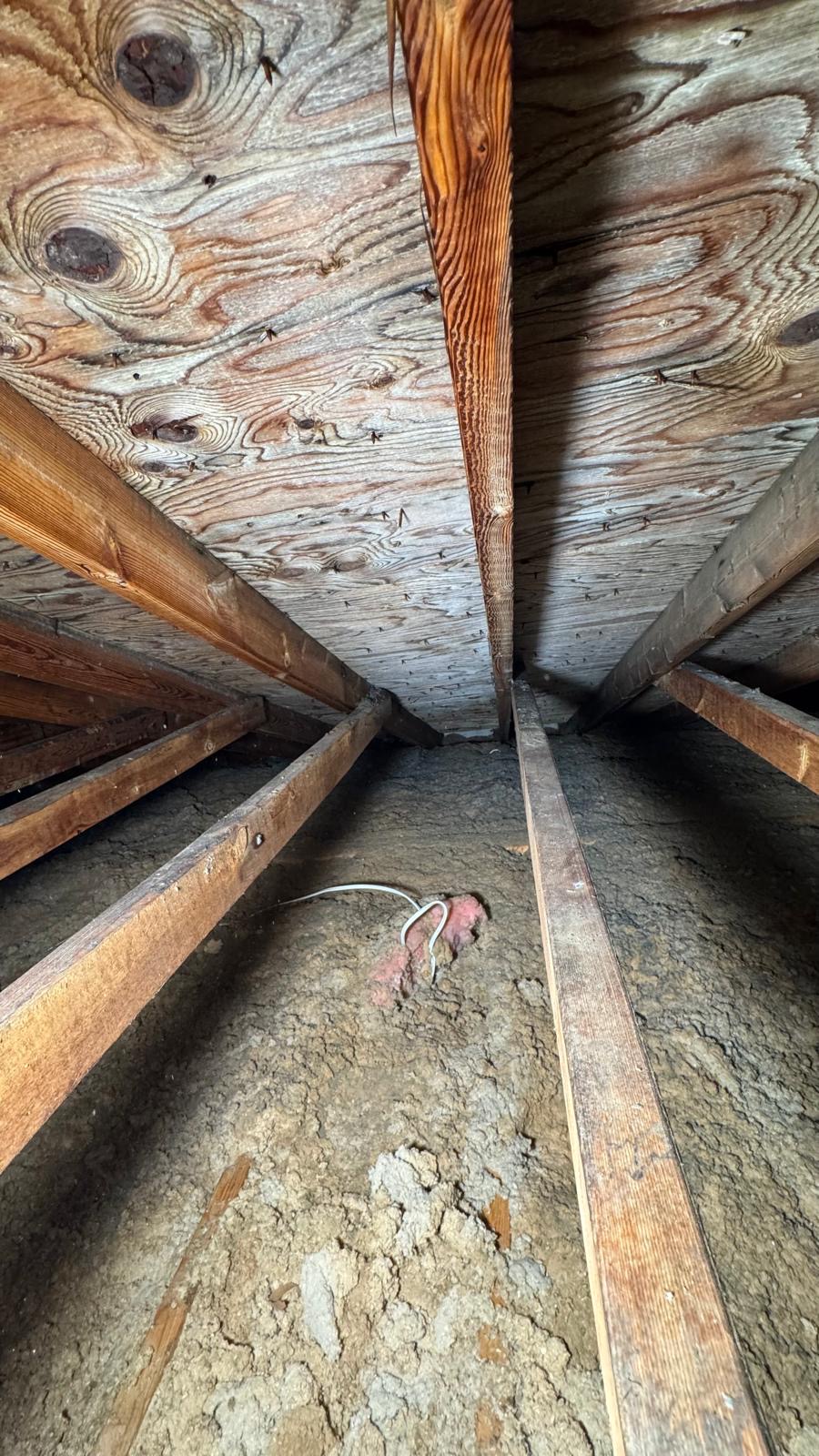Inch by Inch Inspections inc photo 2