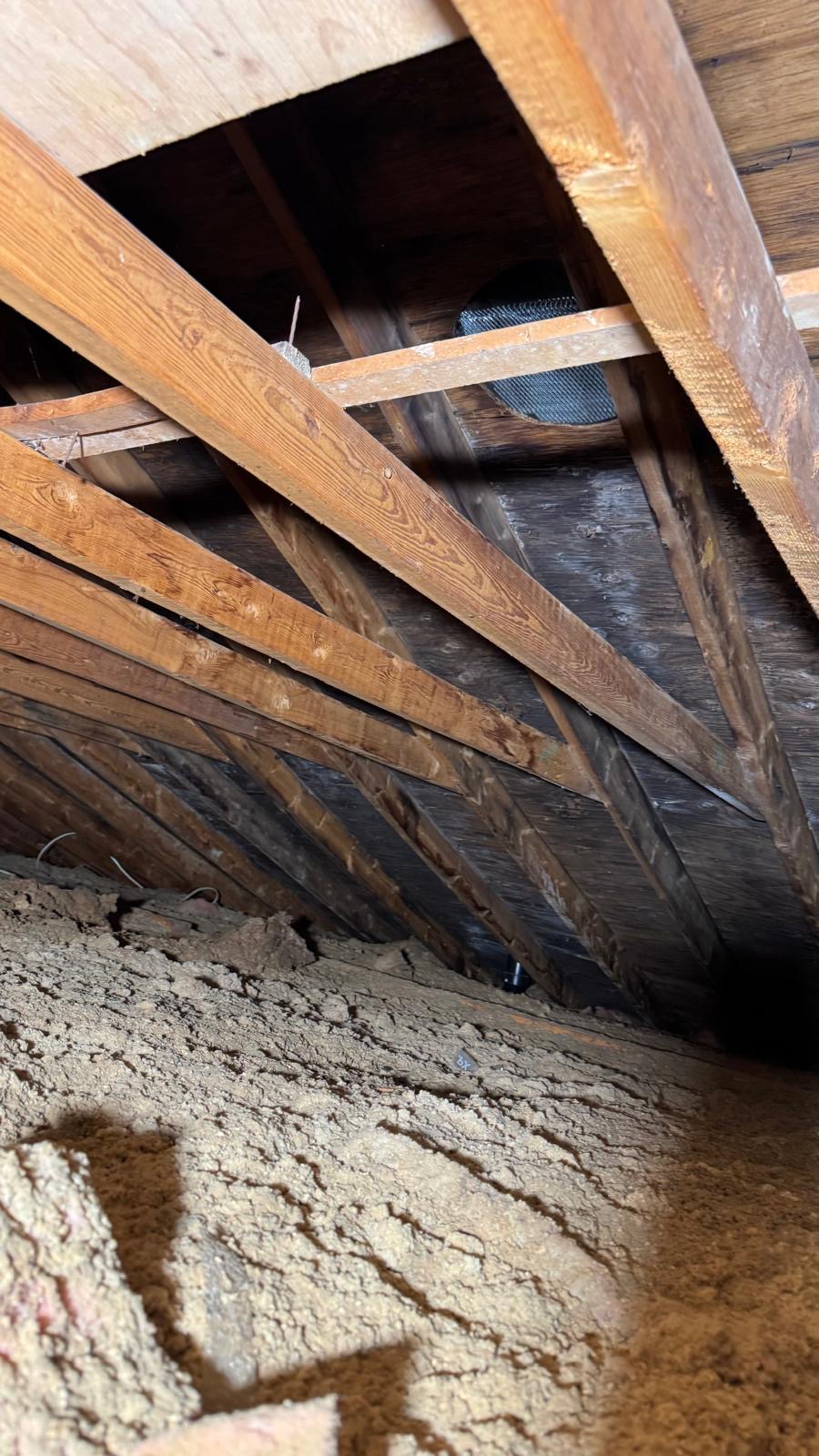 Inch by Inch Inspections inc photo 4