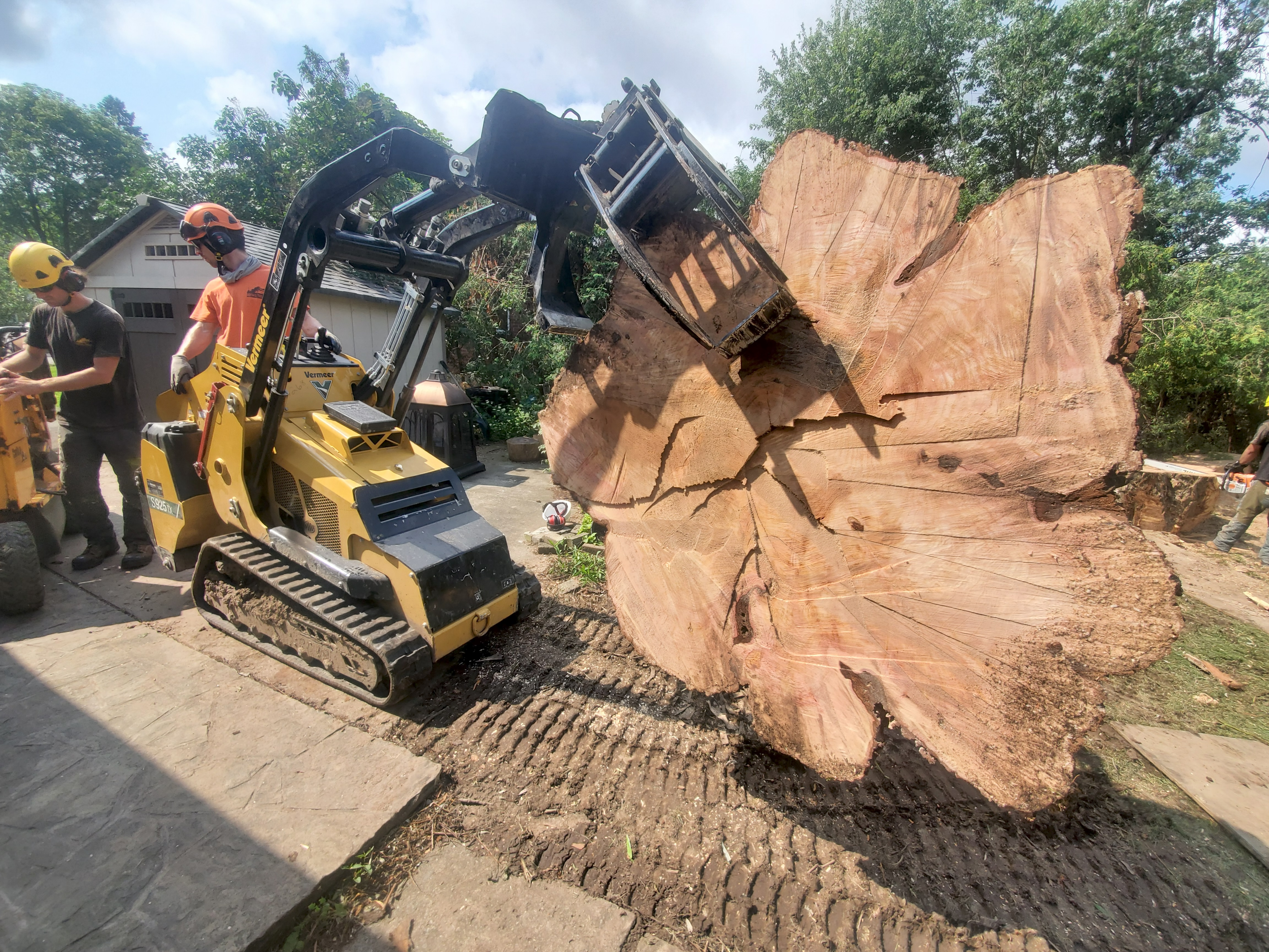 Heritage Tree Care Inc. photo 3