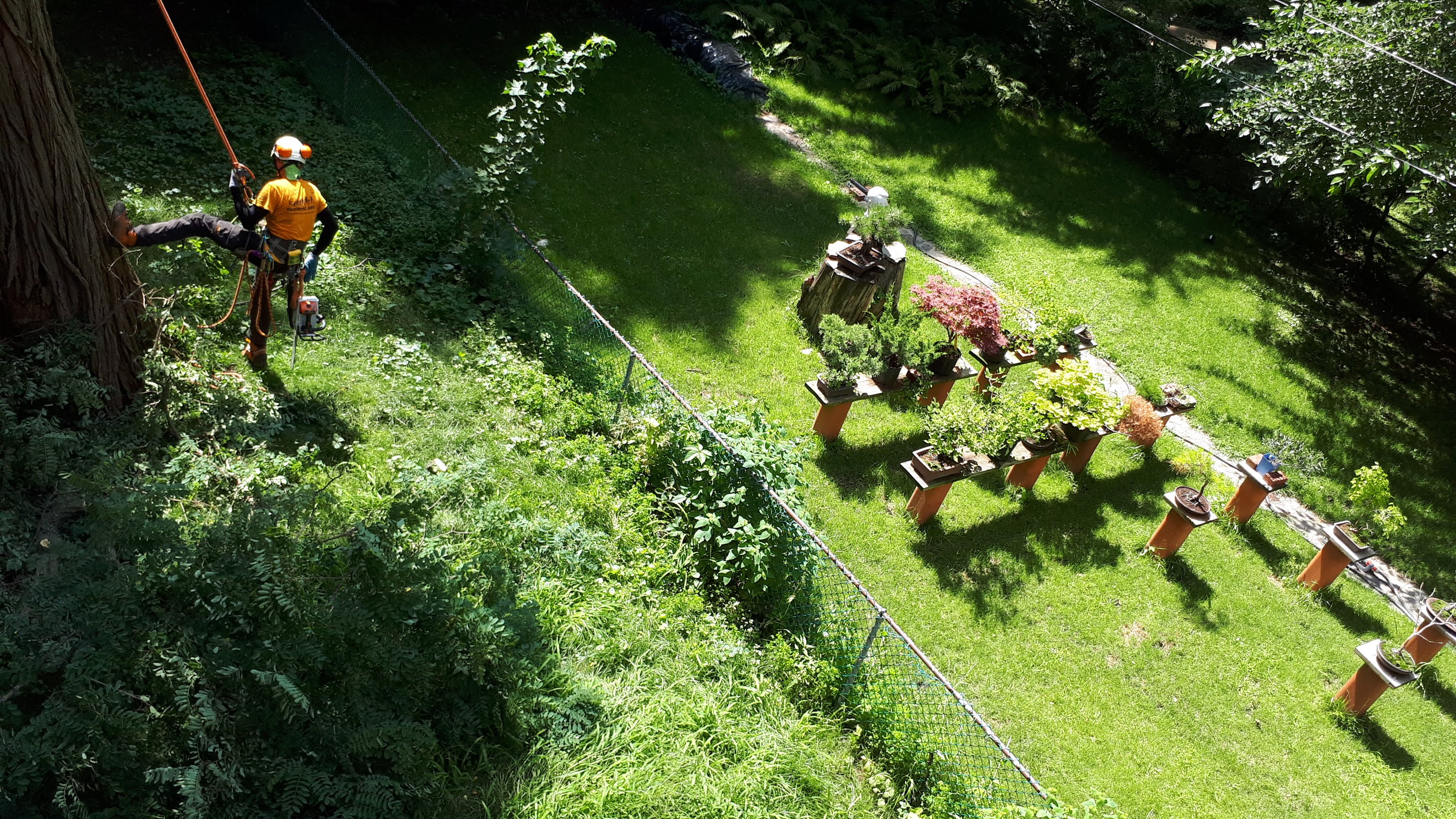 Heritage Tree Care Inc. photo 4